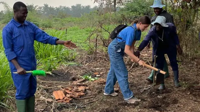 farming-cameroon