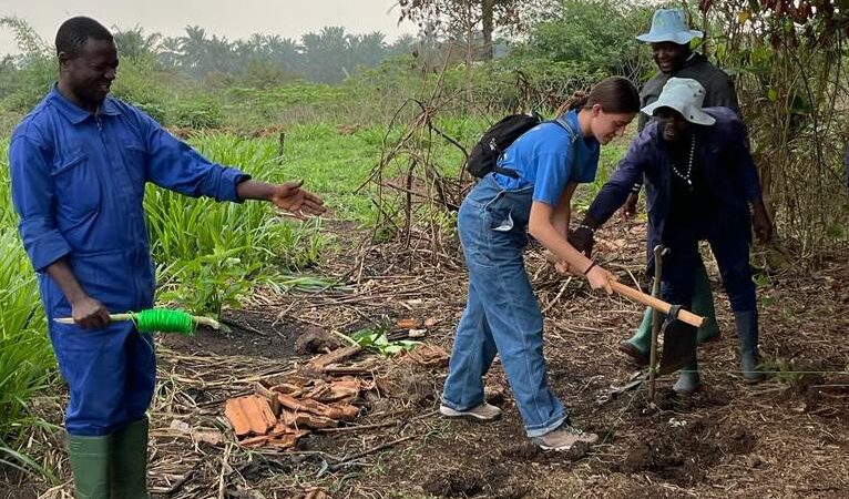 farming-cameroon