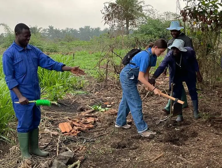farming-cameroon