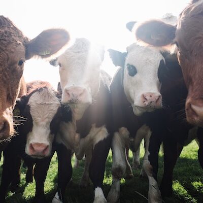 robert-bye-dOElUitXDo-unsplash