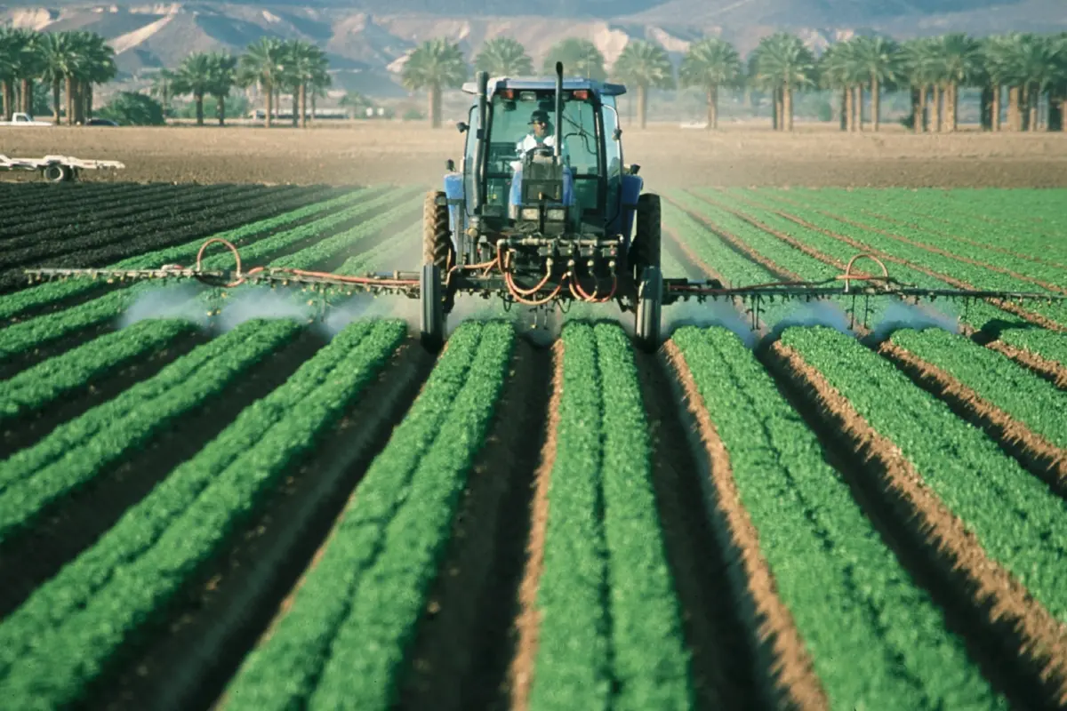 tractor spraying pesticides on rows of crops