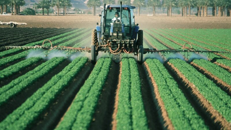 tractor spraying pesticides on rows of crops