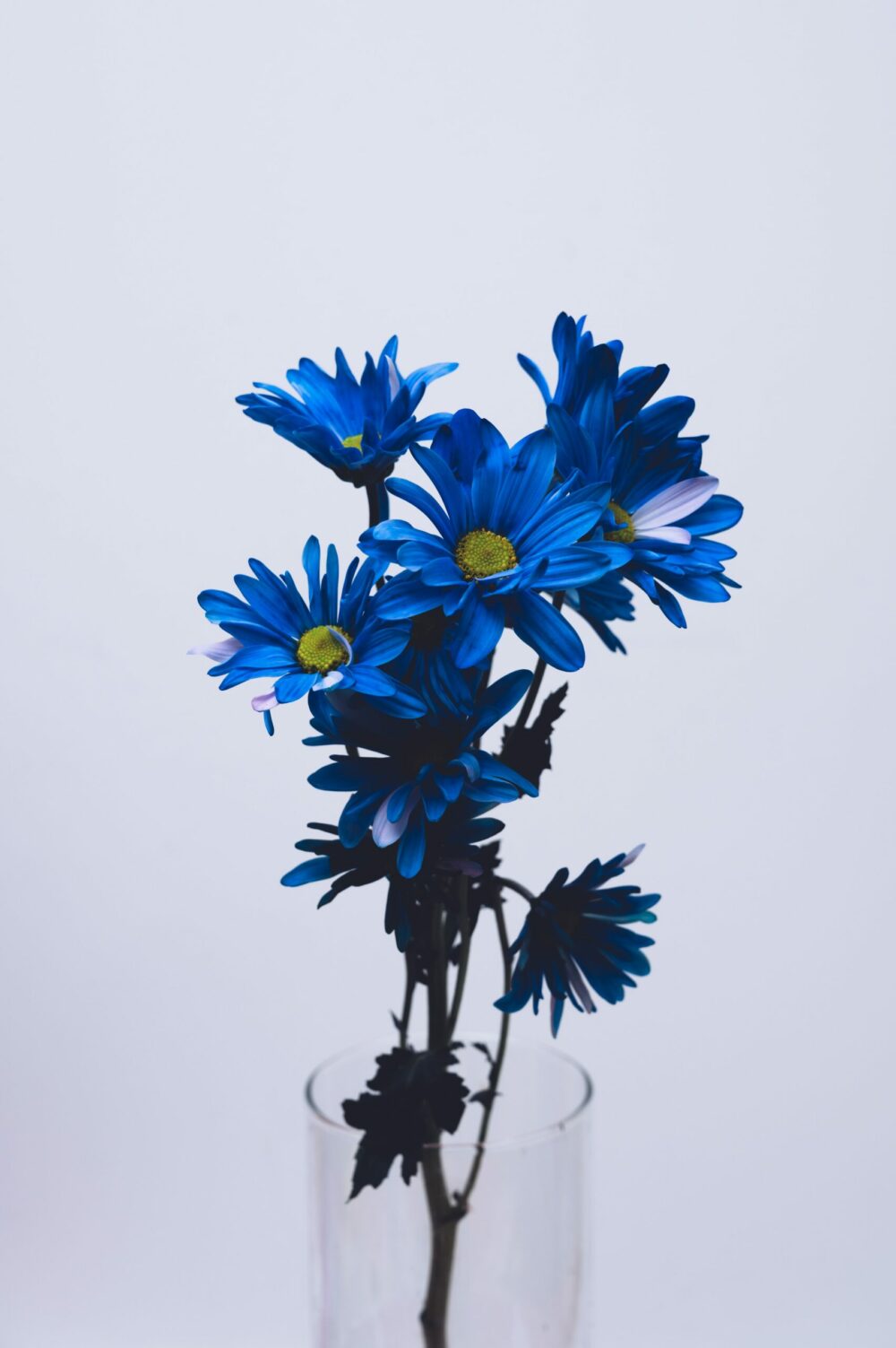 blueflowers