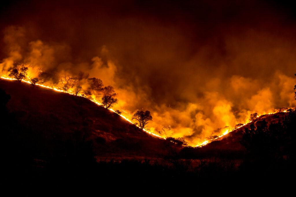 WoolseyFire