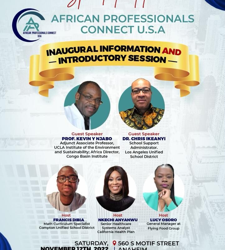 African Professionals Connect USA
