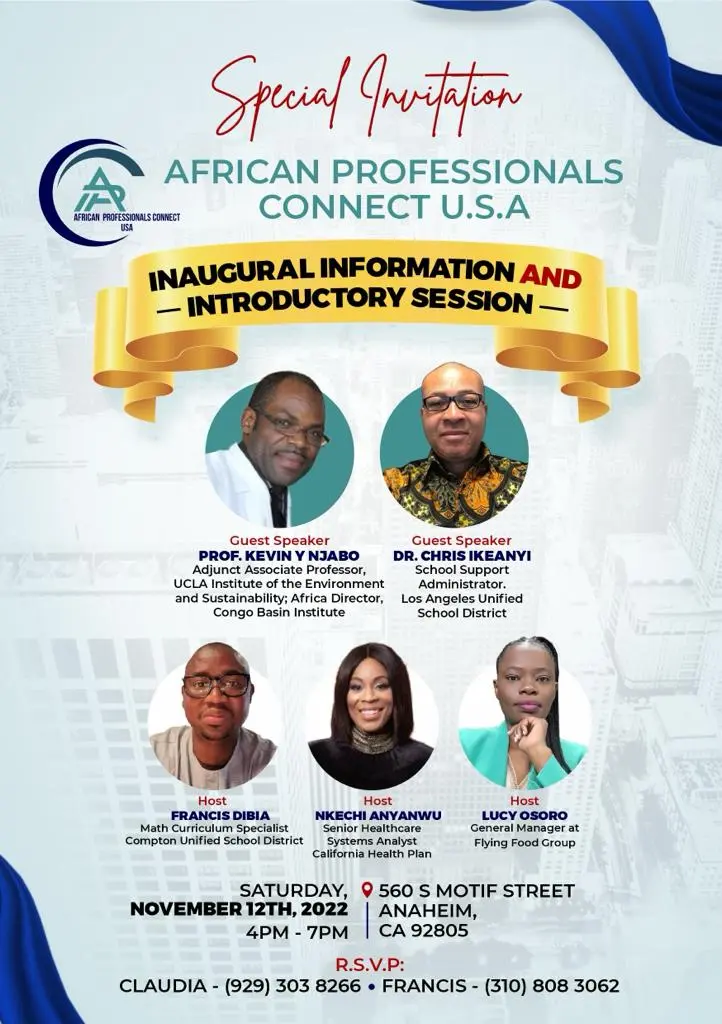 African Professionals Connect USA