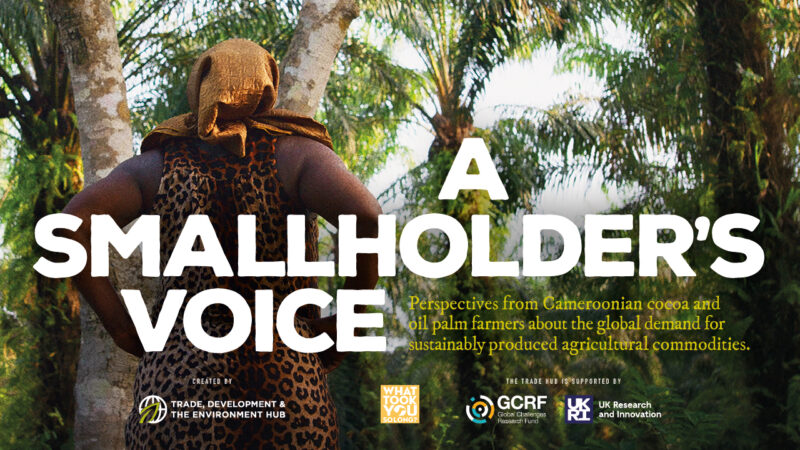 Smallholder's voice