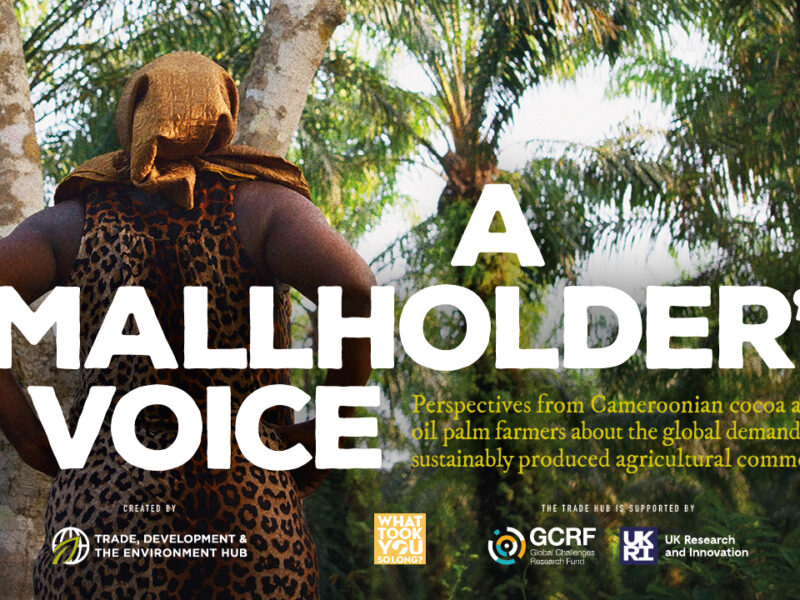 Smallholder's voice