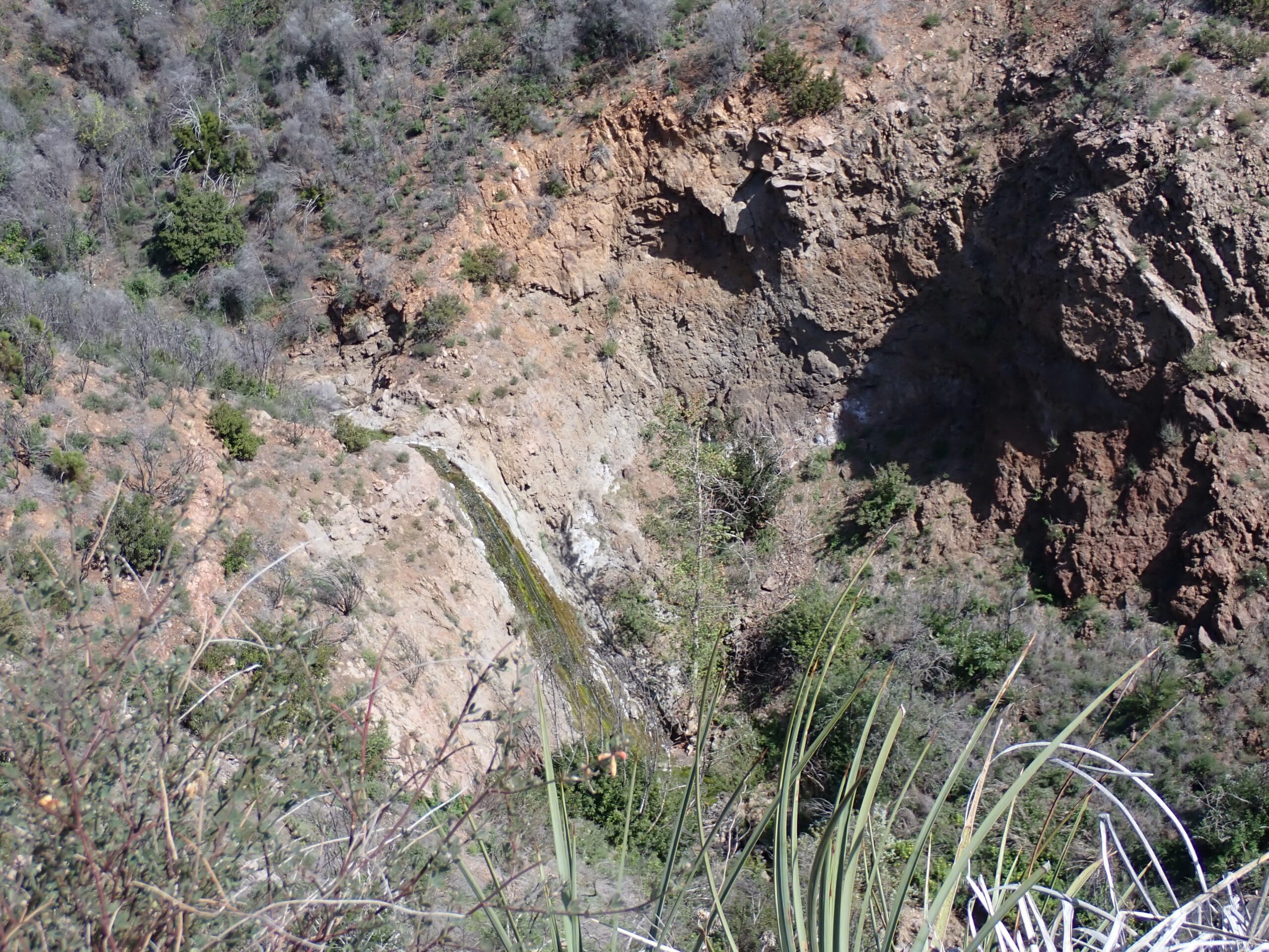 Chaparral_Hillside