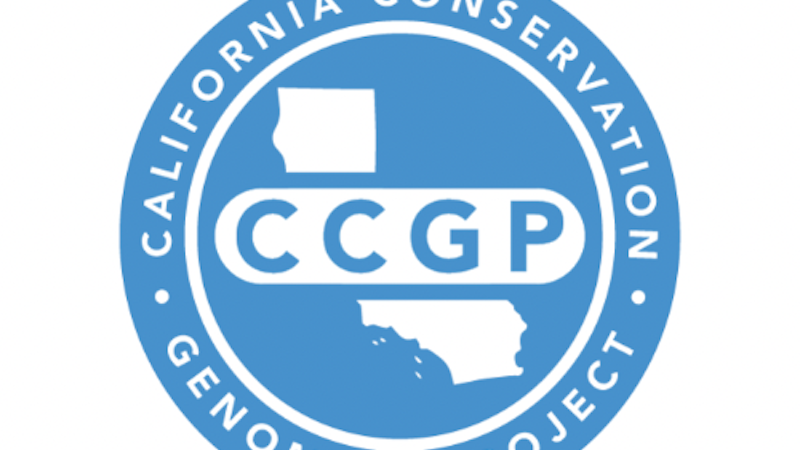 CCGP_Logo