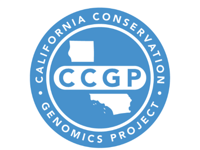 CCGP_Logo