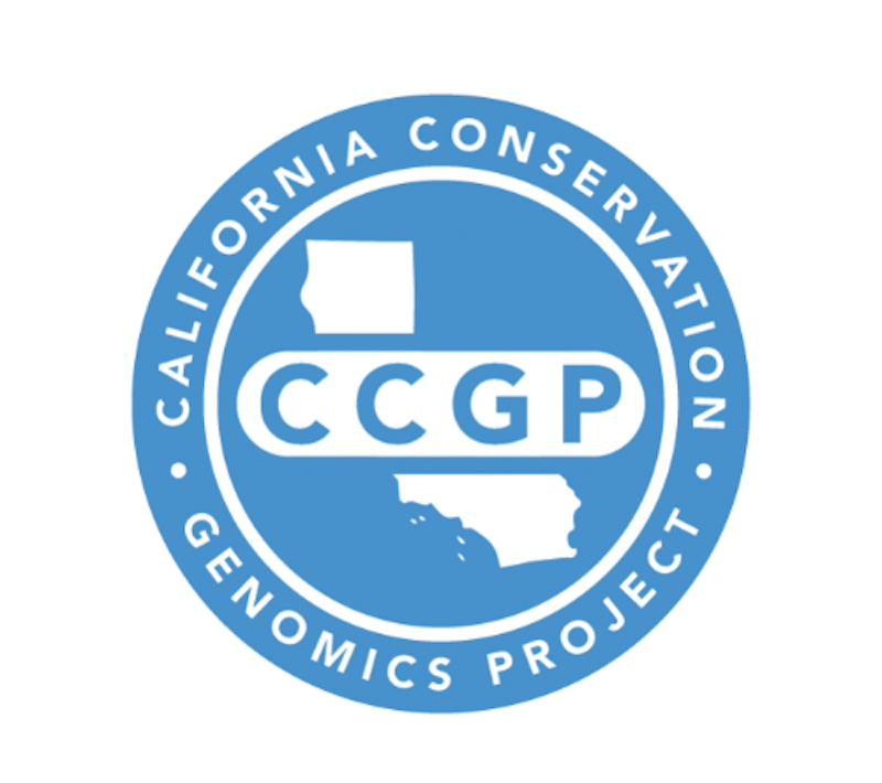 CCGP_Logo