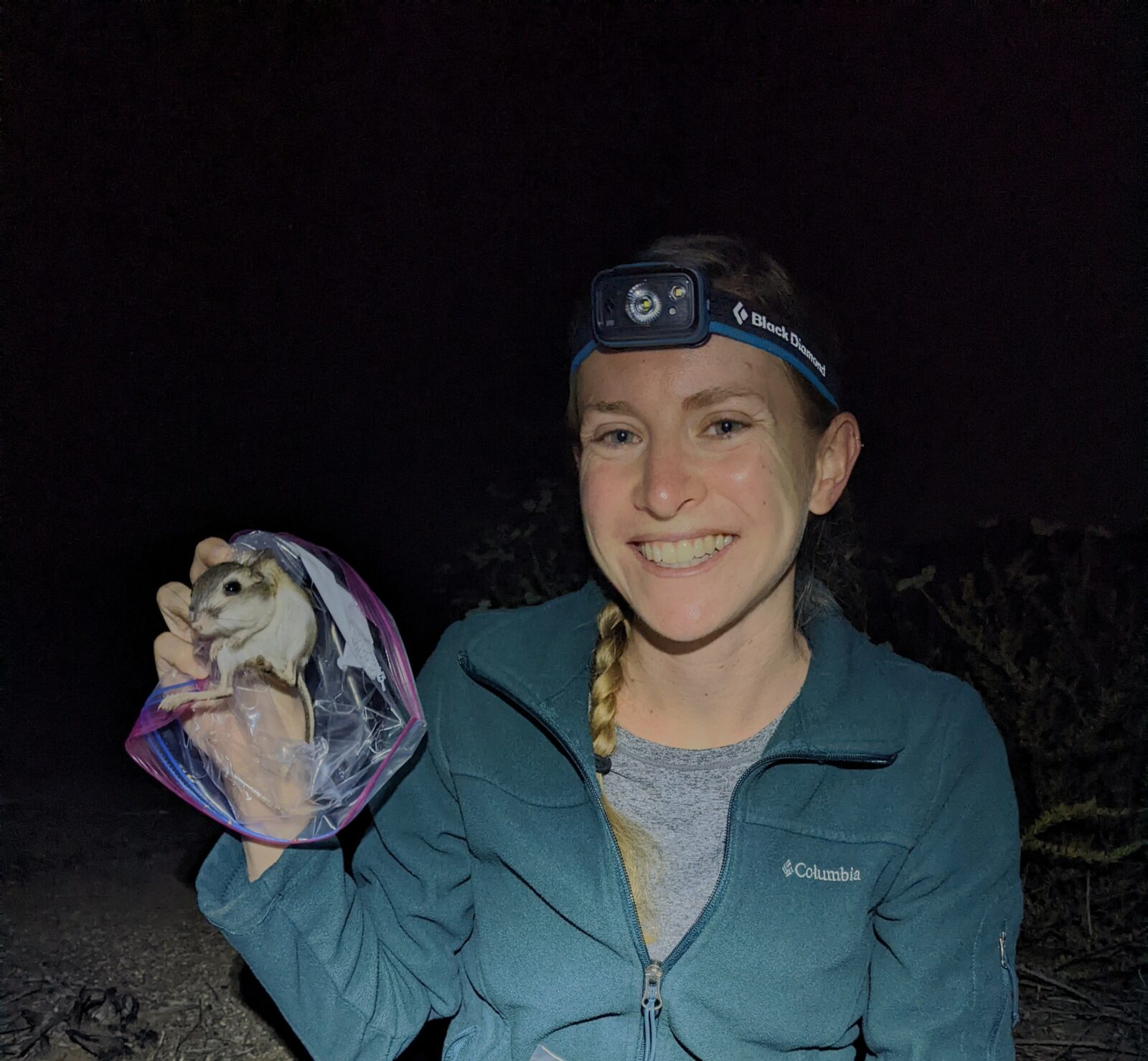 Effects Of Interspecific Competition On Habitat Use By Stephens effects-of-interspecific-competition-on-habitat-use-by-stephens