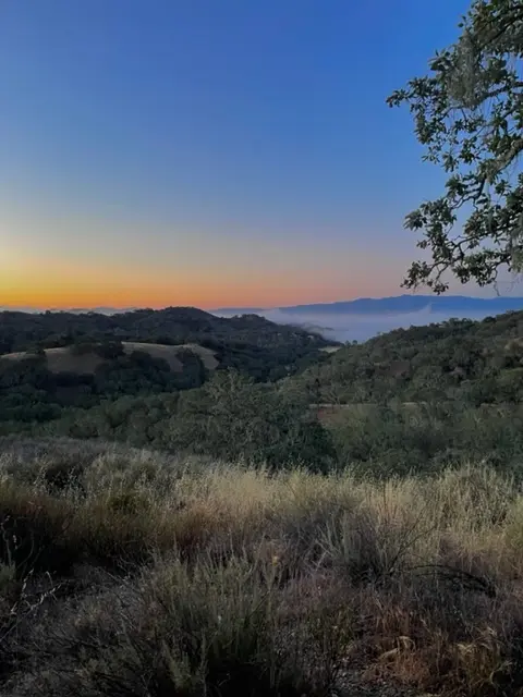 Chaparral Sunset