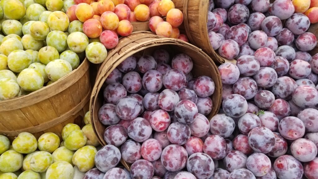 Fruit-at-farmers-market-photo-by-Sean-Brenner