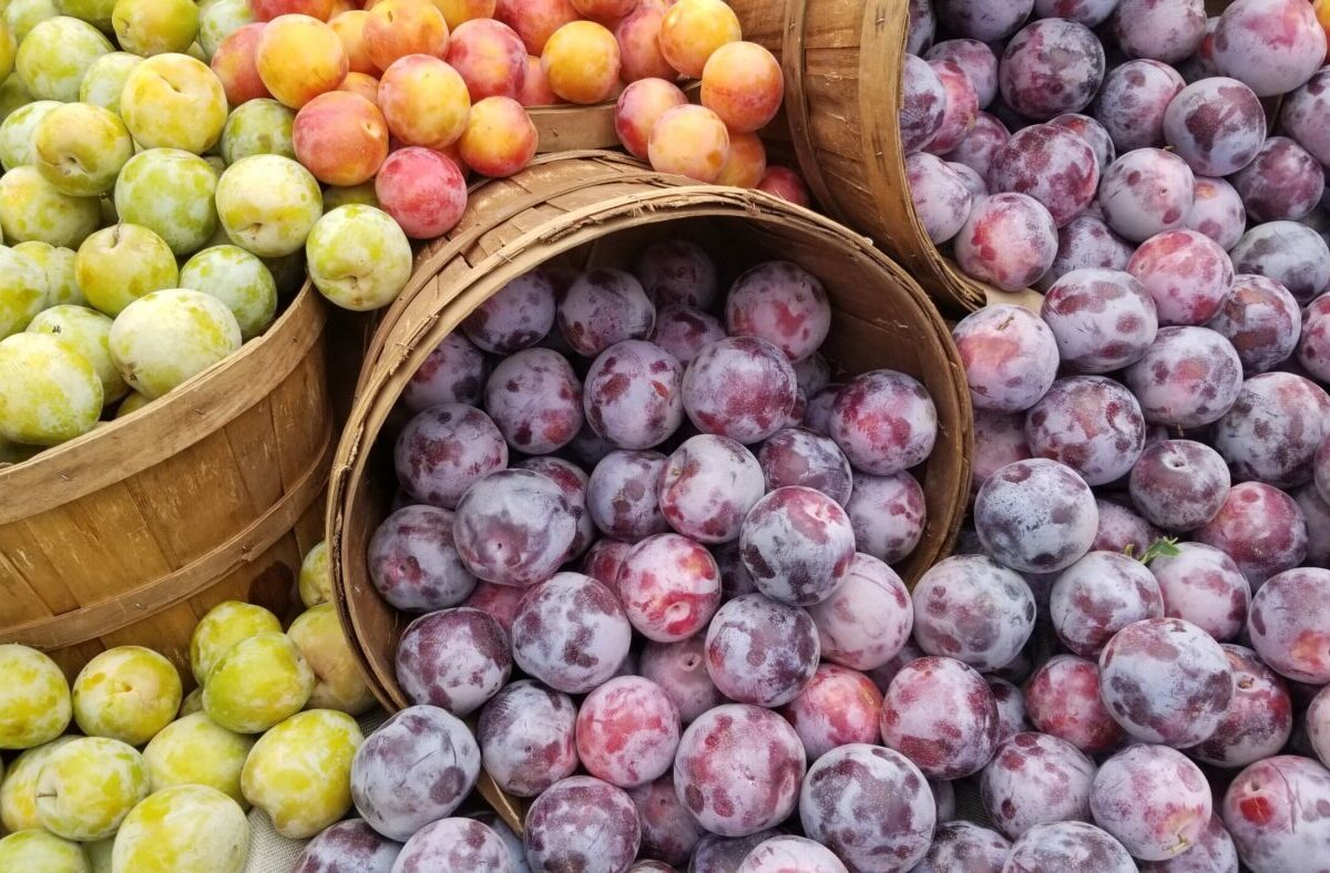 Fruit-at-farmers-market-photo-by-Sean-Brenner