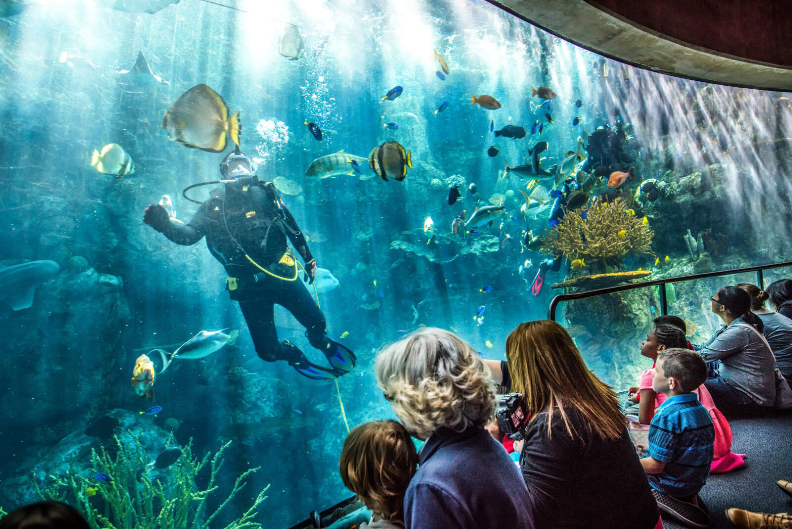 Aquarium of the Pacific