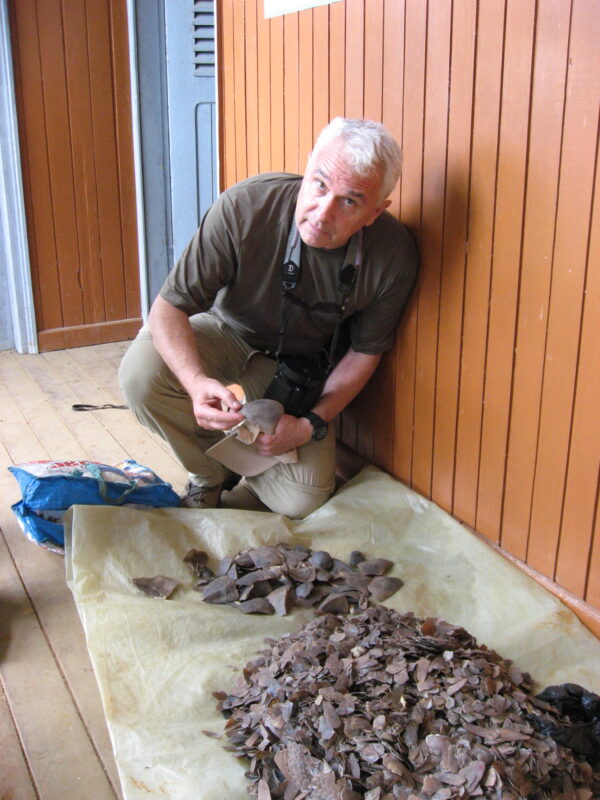 UCLA professor Tom Smith with illegally poached pangolin scales.