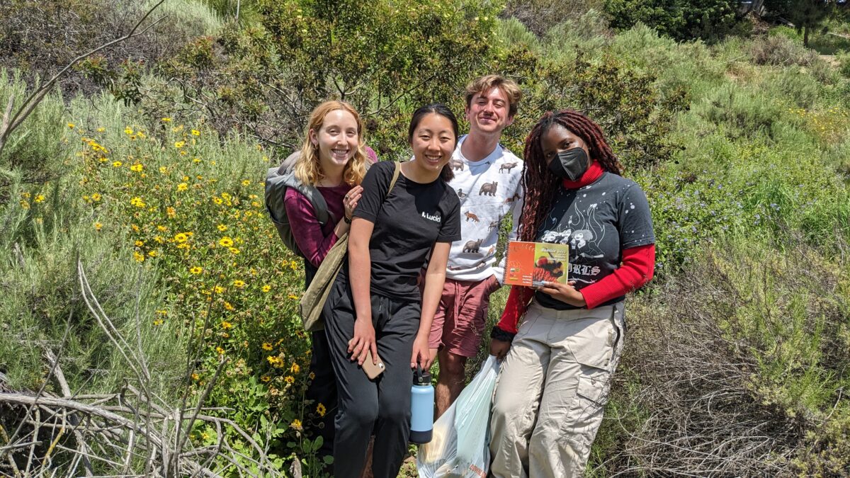 SAR Native Bee Team at Sage Hill