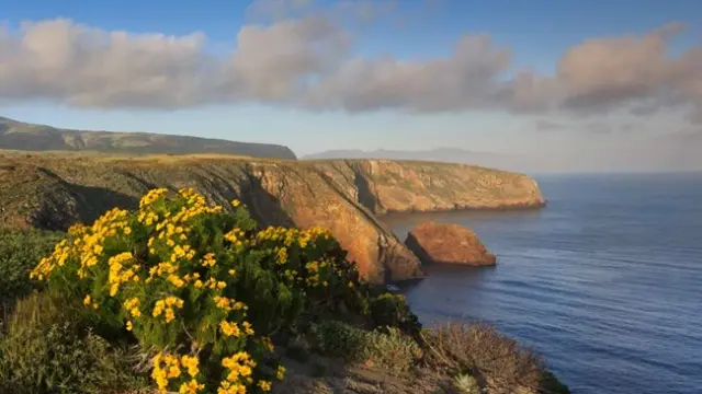 NPS Channel Islands
