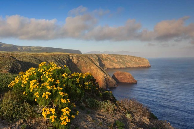 NPS Channel Islands