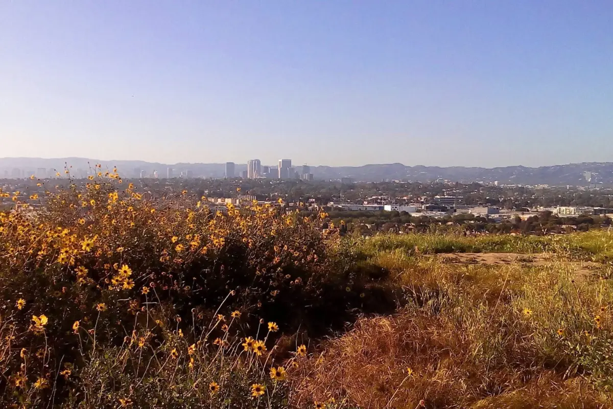 Urban-Openspace