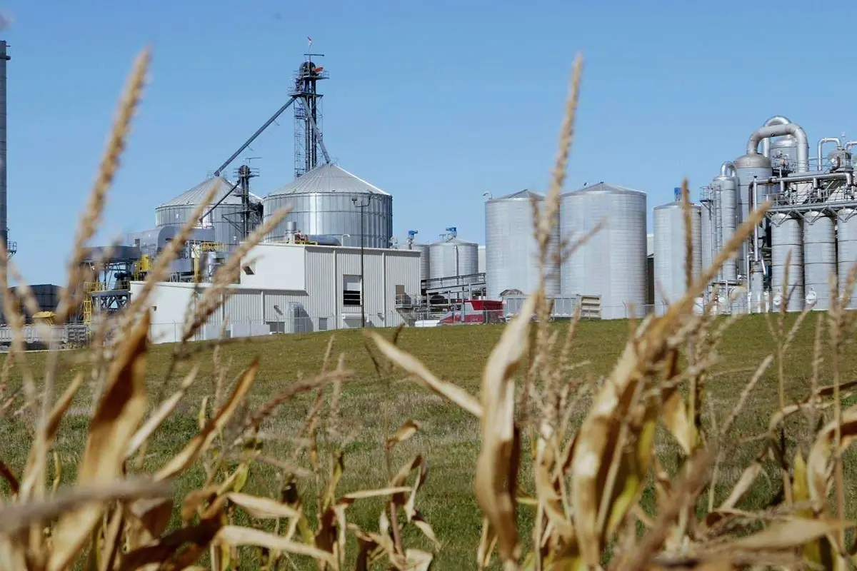Bioenergy with carbon capture and storage facility