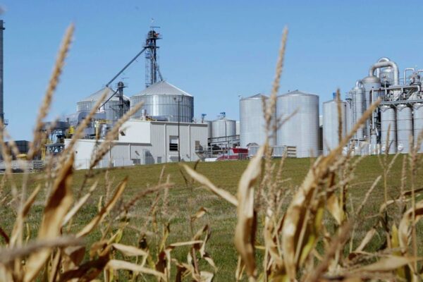 Bioenergy with carbon capture and storage facility