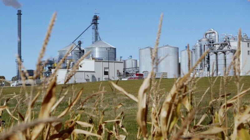 Bioenergy with carbon capture and storage facility