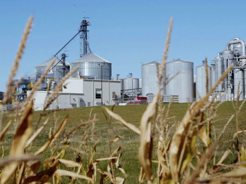 Bioenergy with carbon capture and storage facility