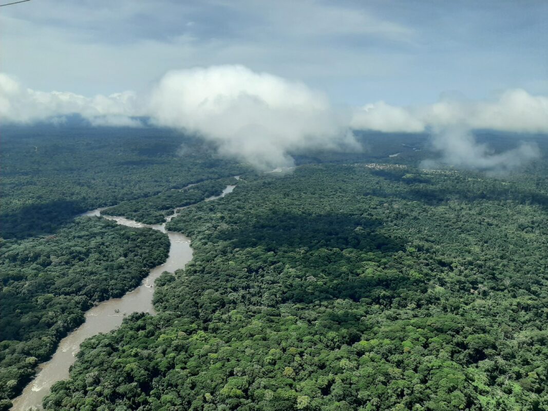 The Epulu River runds through a largely pristine stretch of forest near Okapi Wildlife Reserve. Photo credit: Virginia Zaunbrecher