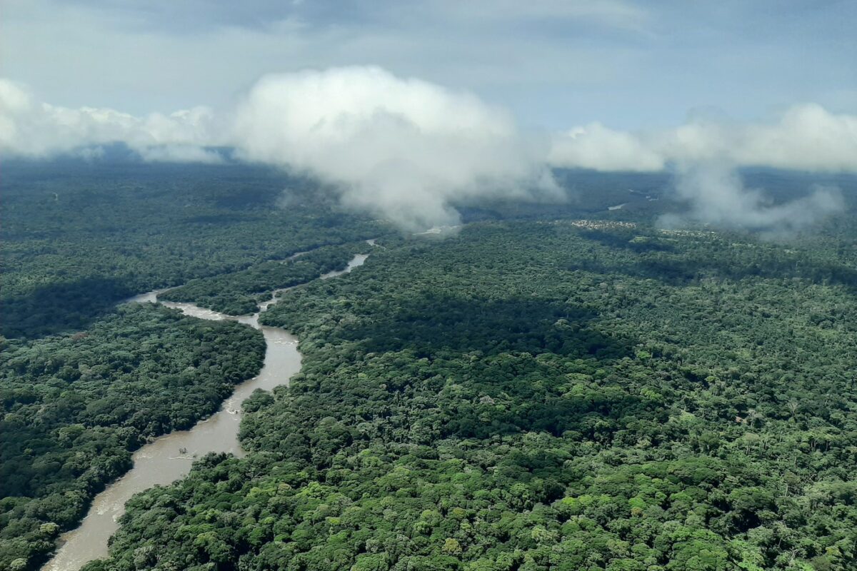 The Epulu River runds through a largely pristine stretch of forest near Okapi Wildlife Reserve. Photo credit: Virginia Zaunbrecher