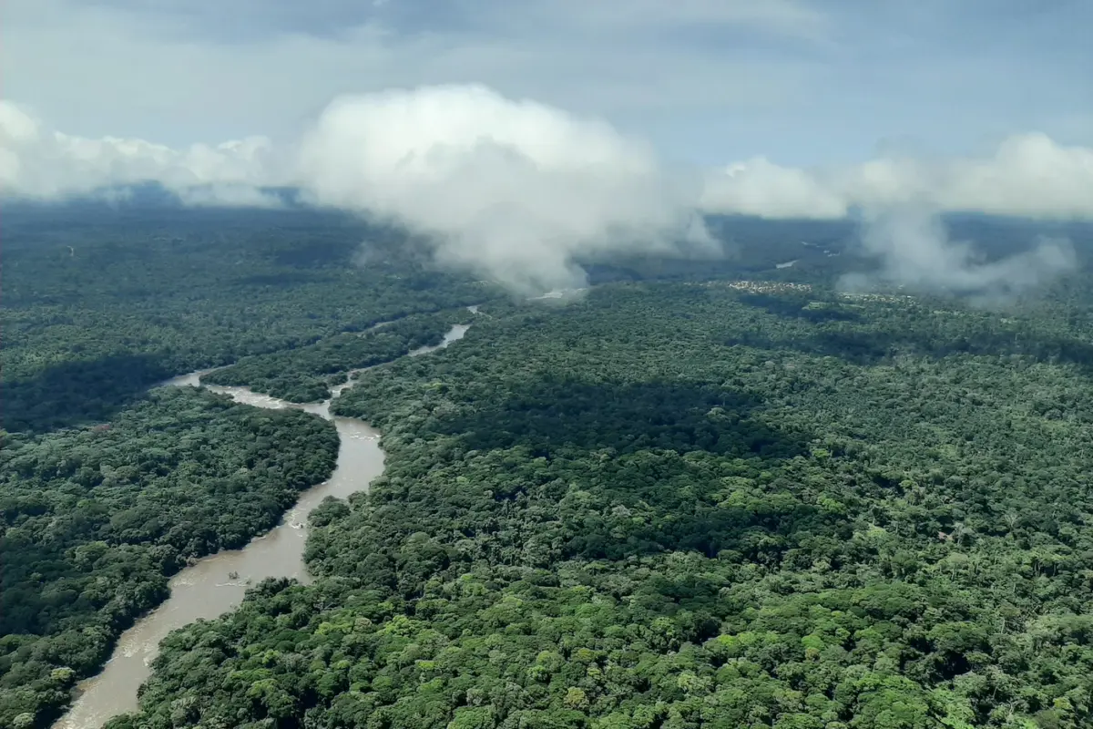 The Epulu River runds through a largely pristine stretch of forest near Okapi Wildlife Reserve. Photo credit: Virginia Zaunbrecher