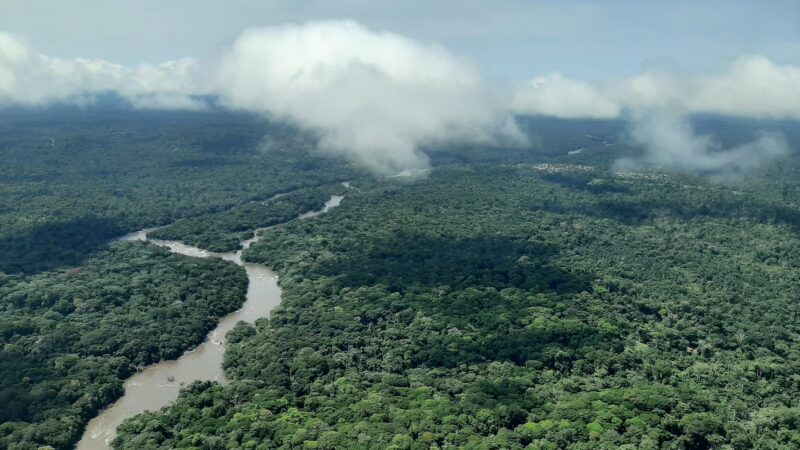 The Epulu River runds through a largely pristine stretch of forest near Okapi Wildlife Reserve. Photo credit: Virginia Zaunbrecher