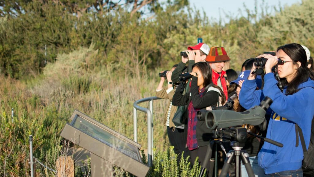 Students birding with binoculars