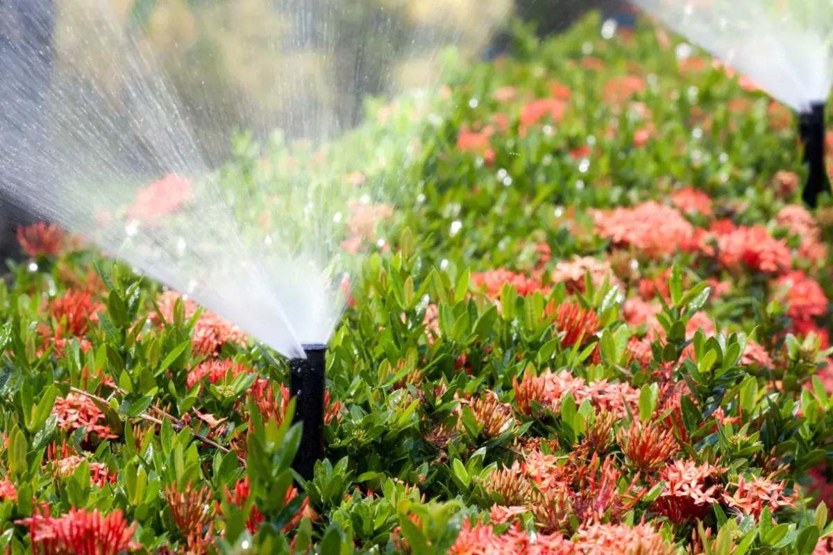 Urban water crises often boil down to classism – Dr. Stephanie Pincetl in Popular Science