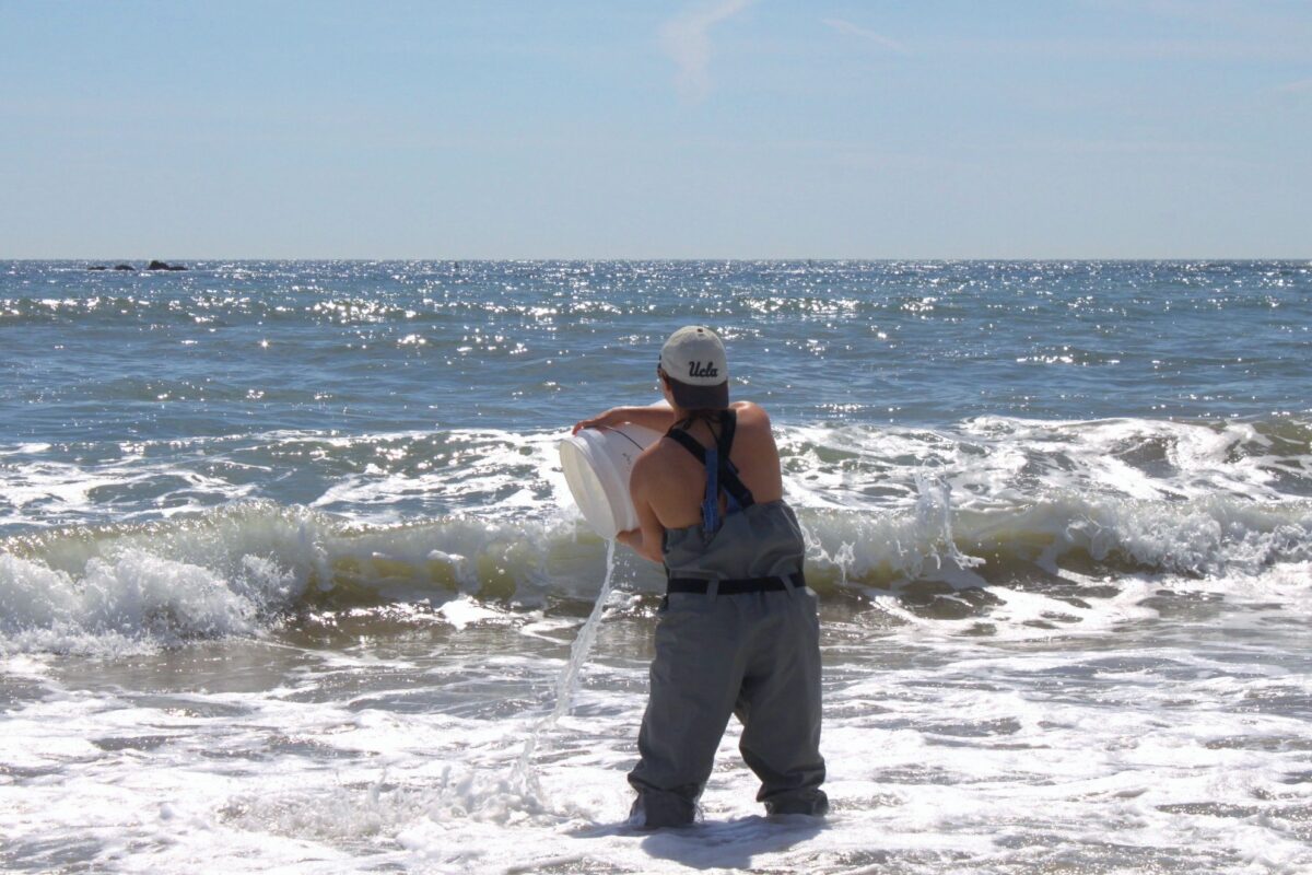 UCLA Student tipping bucket of ocean water into breakwater.