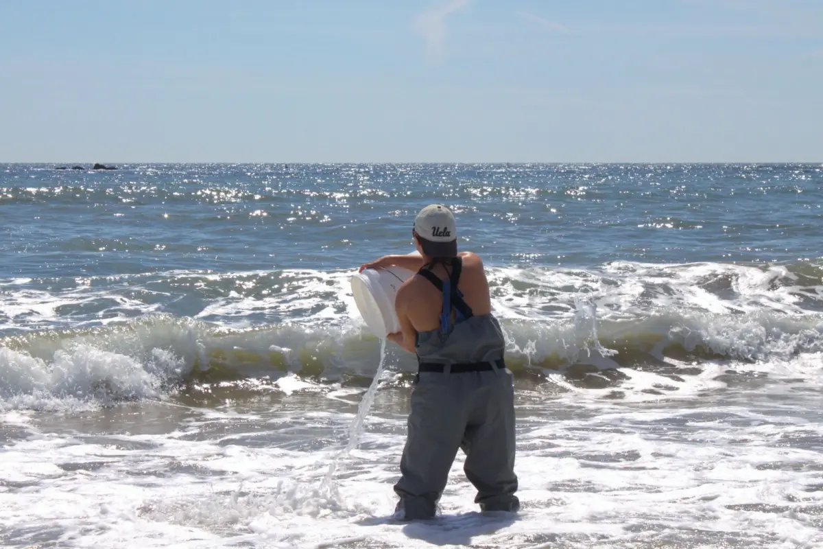 UCLA Student tipping bucket of ocean water into breakwater.