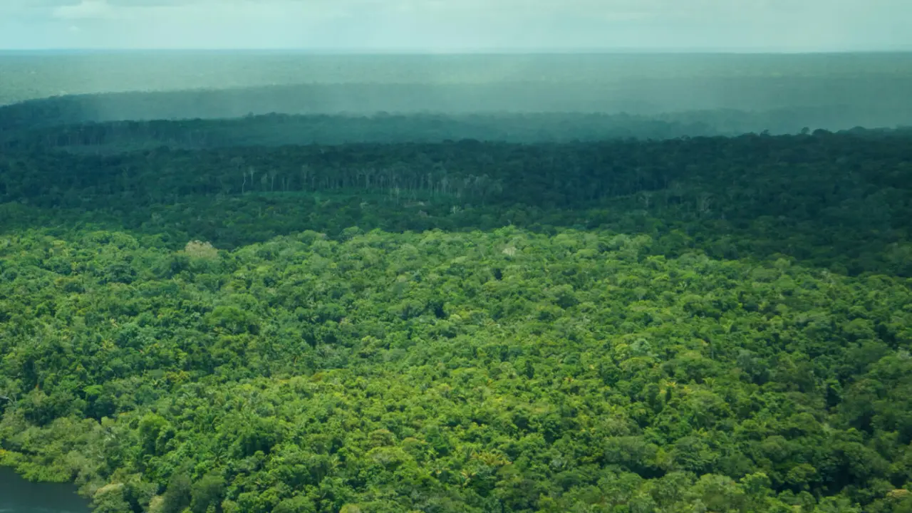 Aerial+view+Amazonas-+Brazil+by+Daniel+Melling