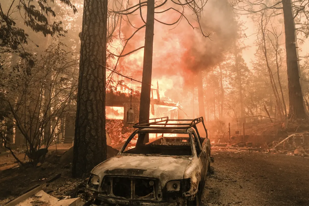 Bloomberg wildfires image