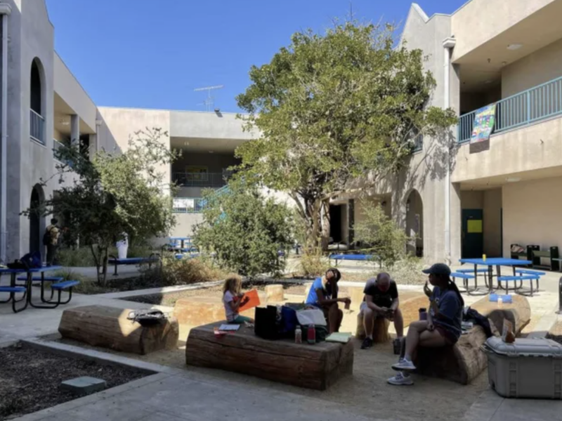 UCLA Luskin Center for Innovation | V. Kelly Turner