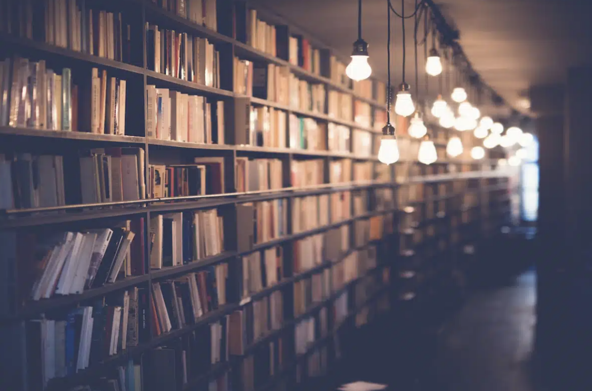 Books on a shelf | Pilar Marrero