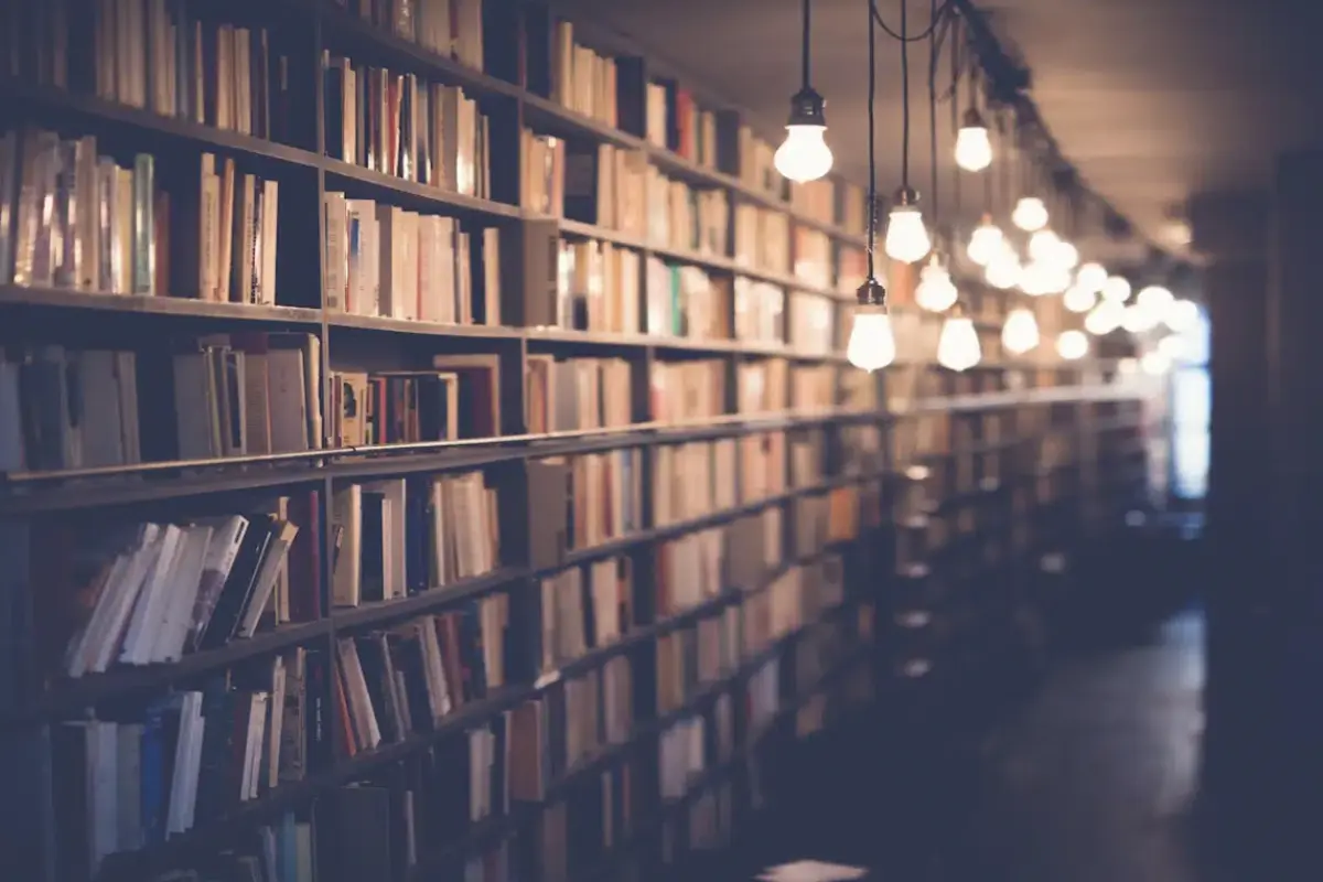 Books on a shelf | Pilar Marrero