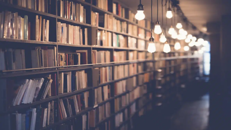 Books on a shelf | Pilar Marrero