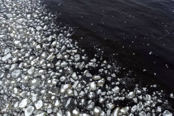 Ice chunks drifting in the Bothnia Gulf near the shore at the beginning of the spring | Olivier Morin