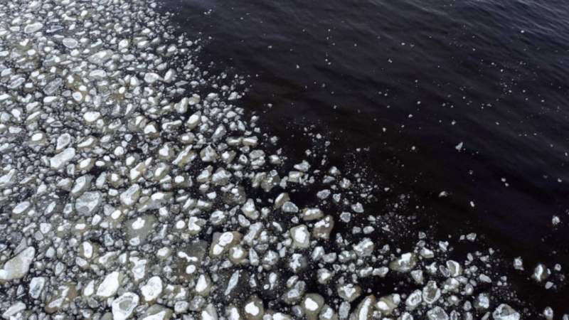 Ice chunks drifting in the Bothnia Gulf near the shore at the beginning of the spring | Olivier Morin