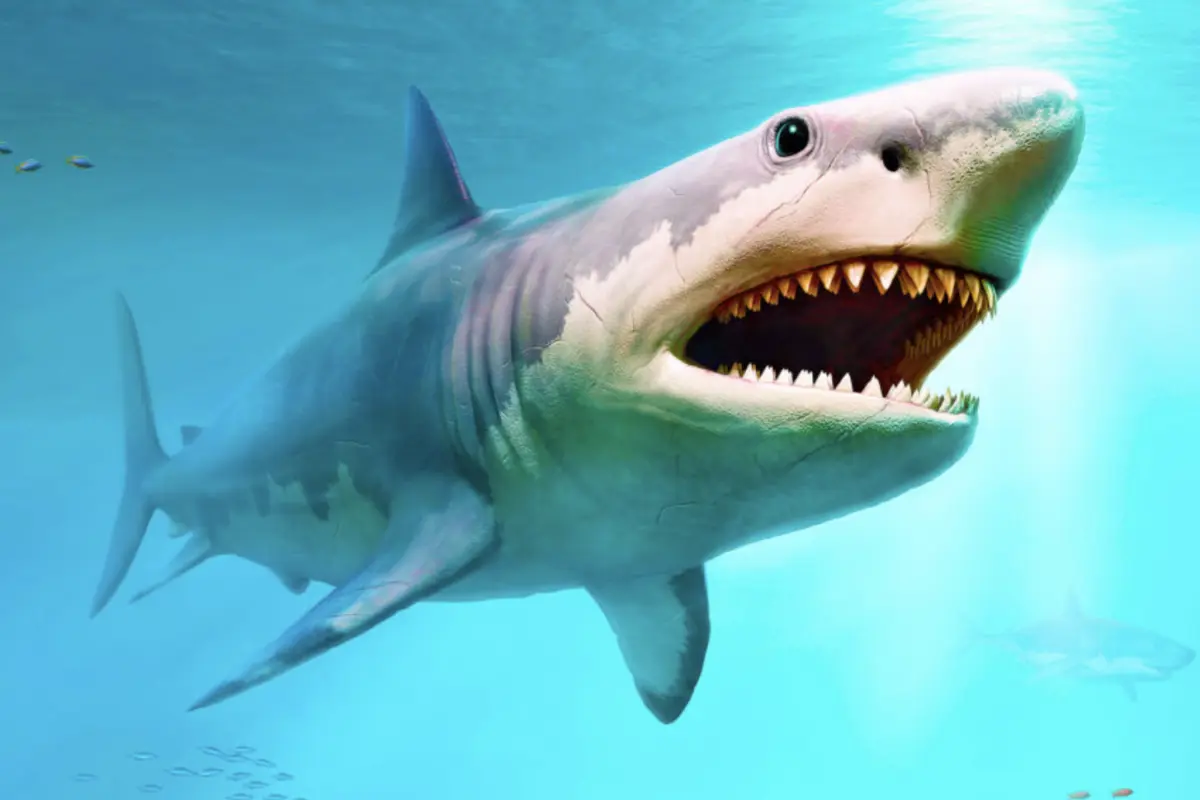 megaladon