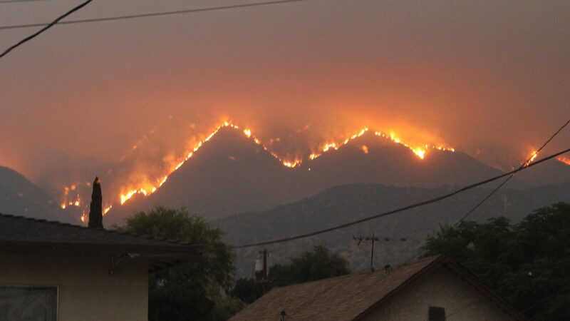 Bobcat_Fire-_Los_Angeles-_San_Gabriel_Mountains