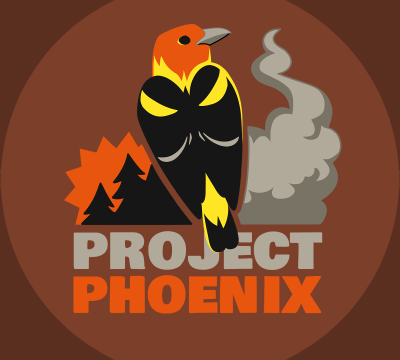 ProjectPhoenix_Icon_Brown