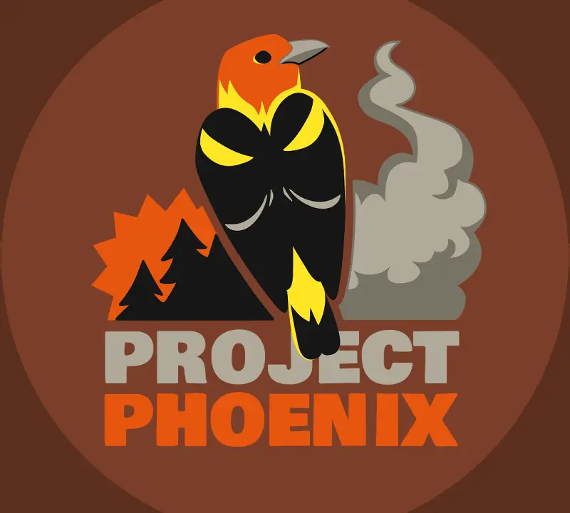 ProjectPhoenix_Icon_Brown